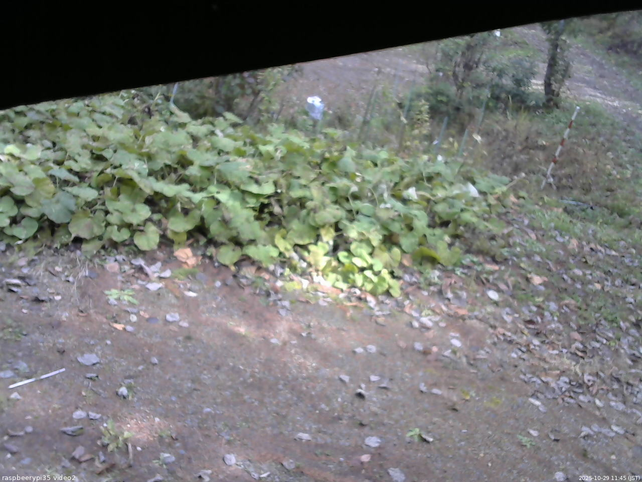長野県菅平高原 ゆたか山荘 駐車場 2025/10/29 11:45