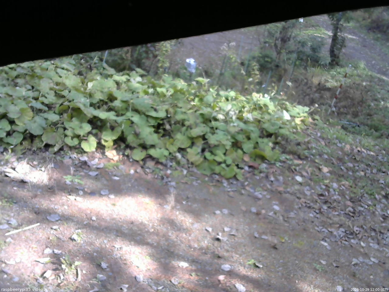 長野県菅平高原 ゆたか山荘 駐車場 2025/10/29 12:00