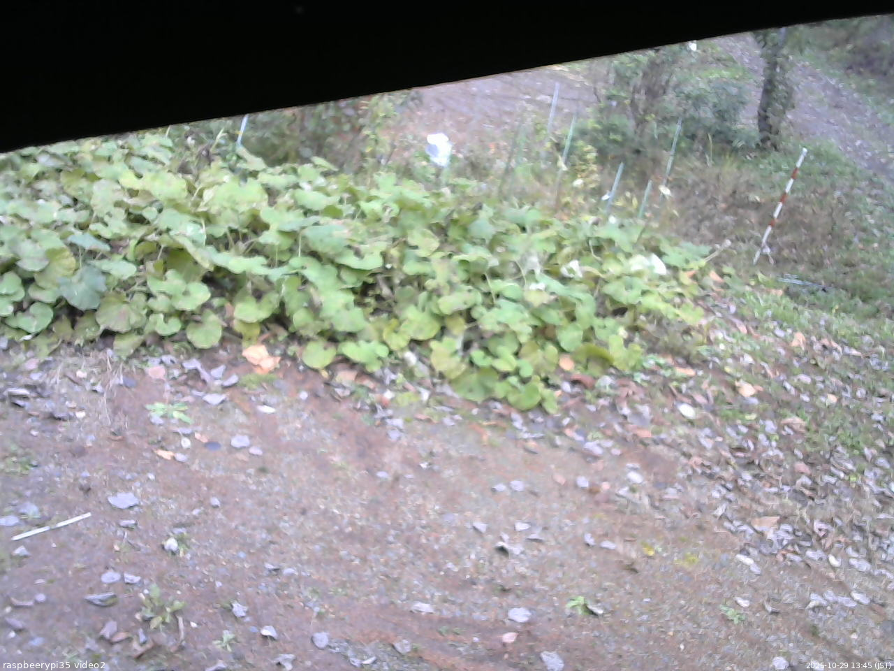 長野県菅平高原 ゆたか山荘 駐車場 2025/10/29 13:45