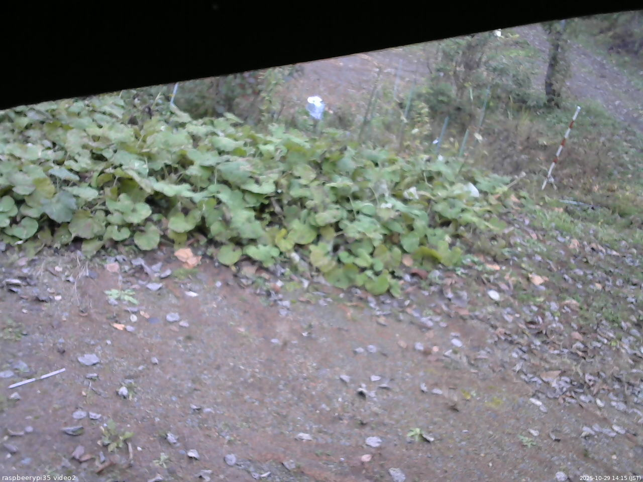 長野県菅平高原 ゆたか山荘 駐車場 2025/10/29 14:15
