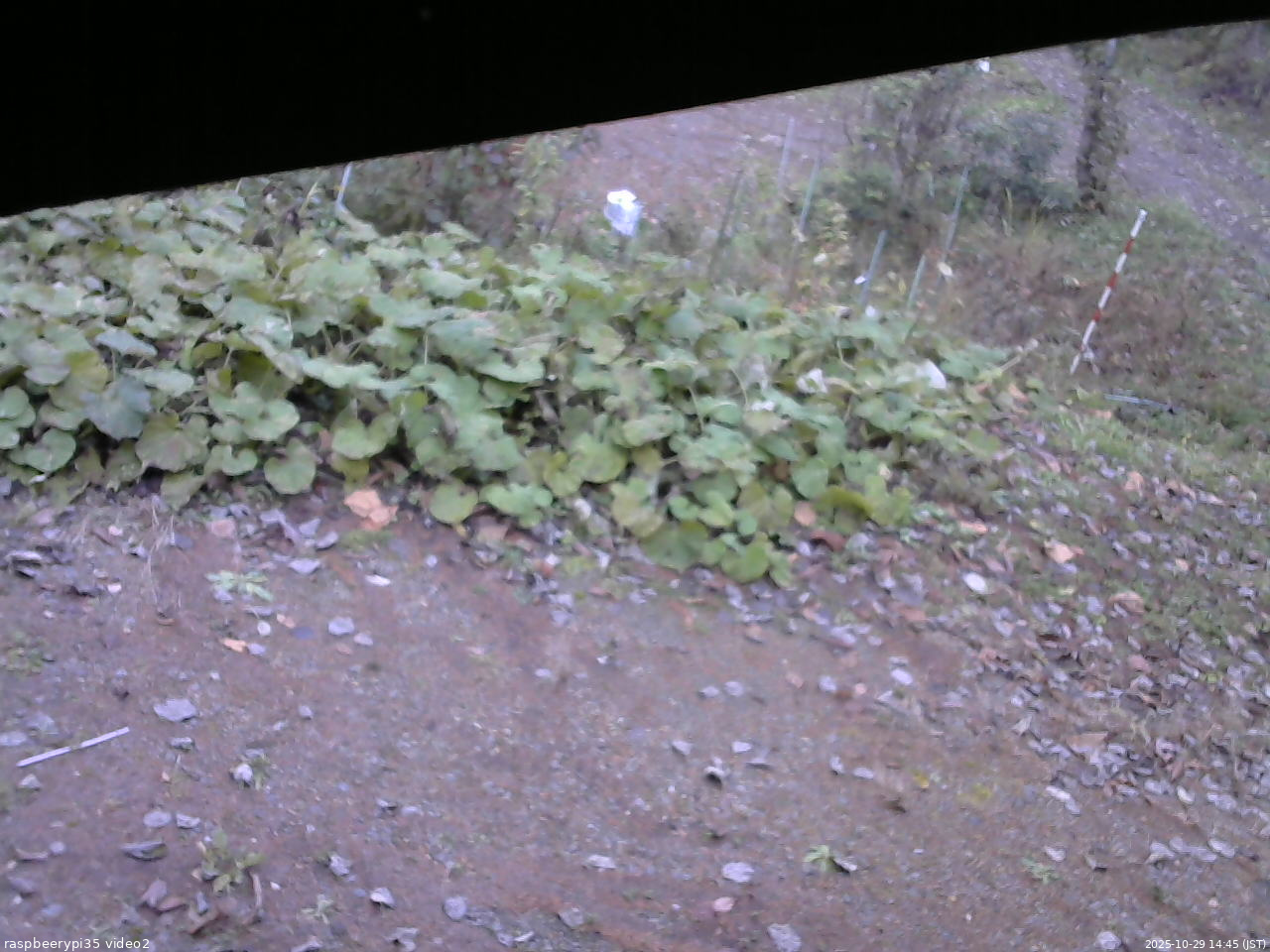 長野県菅平高原 ゆたか山荘 駐車場 2025/10/29 14:45
