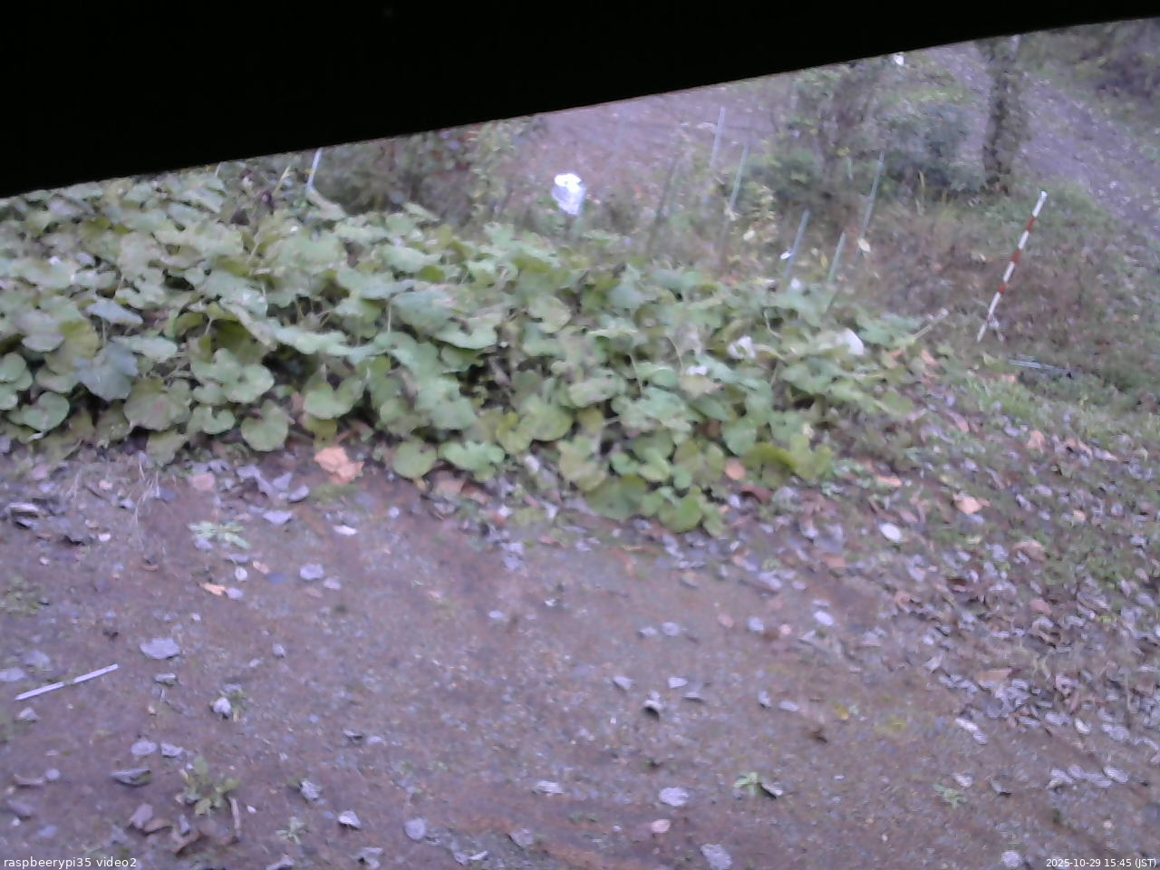 長野県菅平高原 ゆたか山荘 駐車場 2025/10/29 15:45