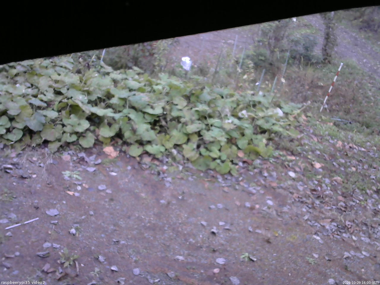 長野県菅平高原 ゆたか山荘 駐車場 2025/10/29 16:00