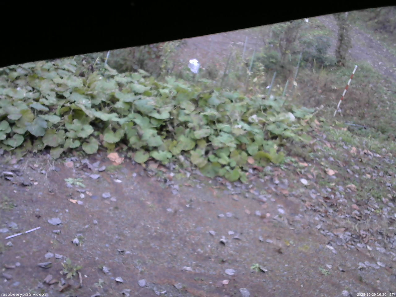 長野県菅平高原 ゆたか山荘 駐車場 2025/10/29 16:30