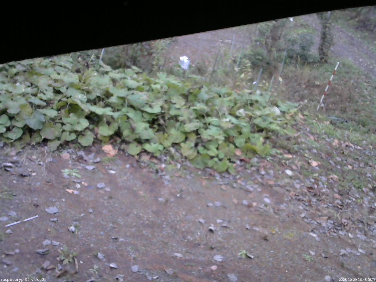 長野県菅平高原 ゆたか山荘 駐車場 2025/10/29 16:45