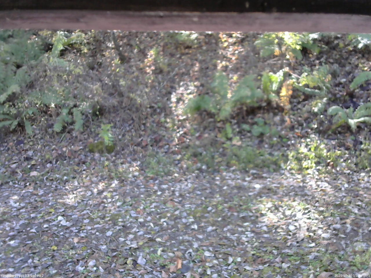 長野県菅平高原 ゆたか山荘 南側 2025/10/30 11:30