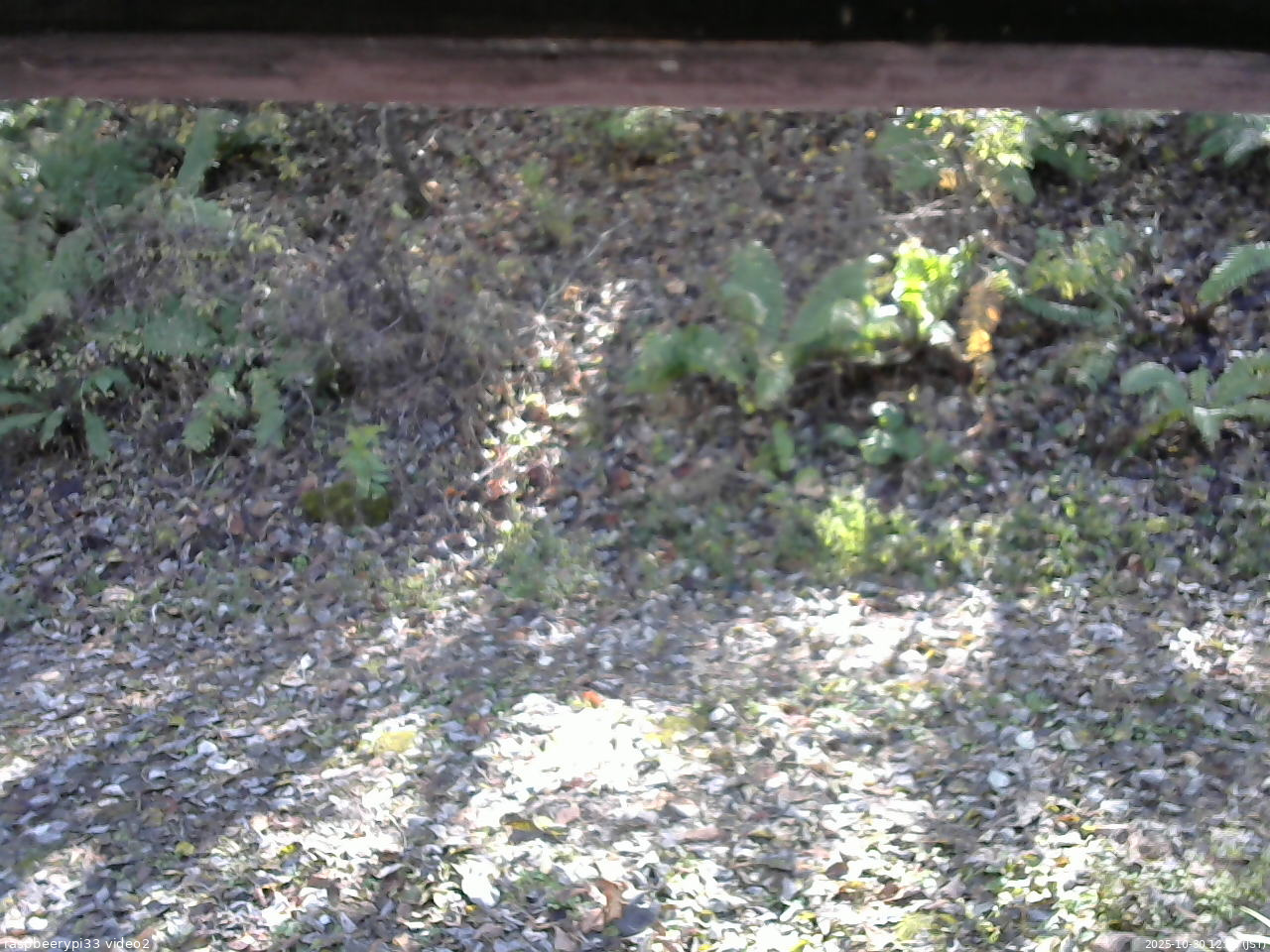 長野県菅平高原 ゆたか山荘 南側 2025/10/30 12:15