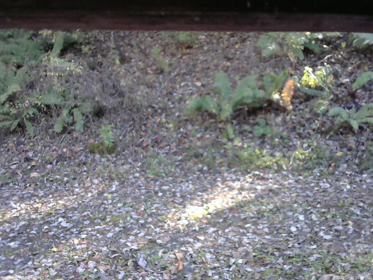 長野県菅平高原 ゆたか山荘 南側 2025/10/30 13:30