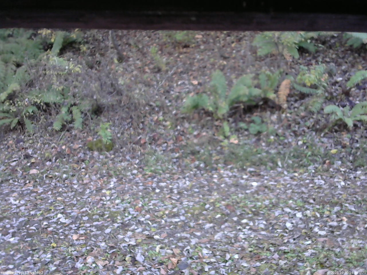 長野県菅平高原 ゆたか山荘 南側 2025/10/30 14:30