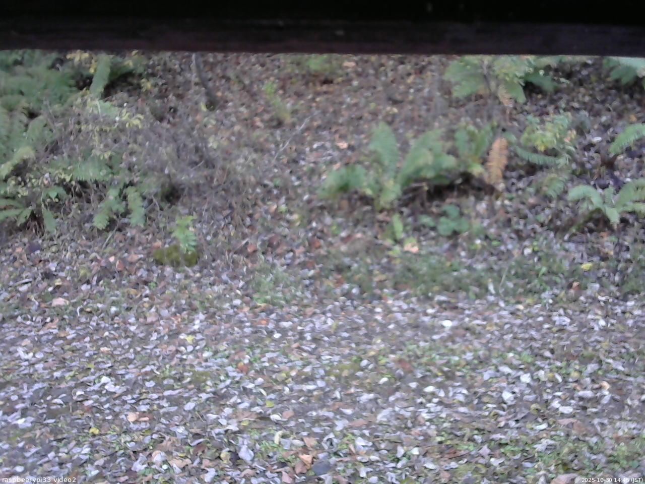 長野県菅平高原 ゆたか山荘 南側 2025/10/30 14:45
