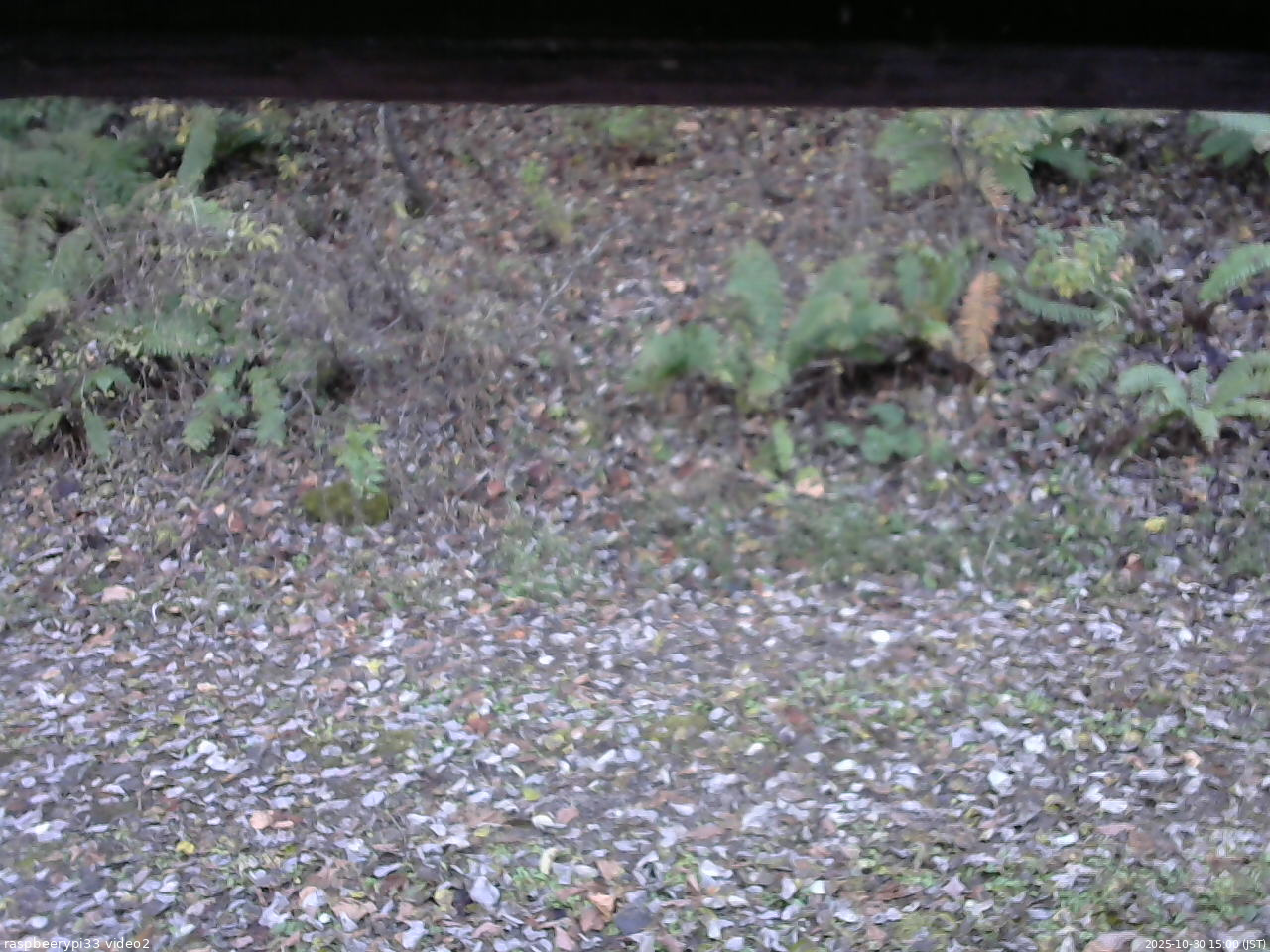 長野県菅平高原 ゆたか山荘 南側 2025/10/30 15:00