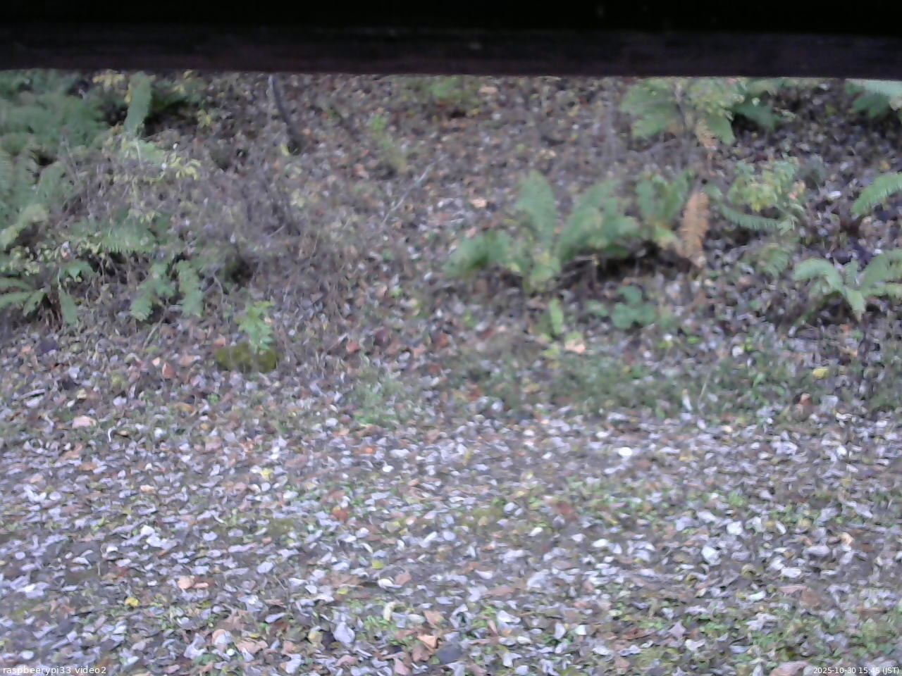 長野県菅平高原 ゆたか山荘 南側 2025/10/30 15:45