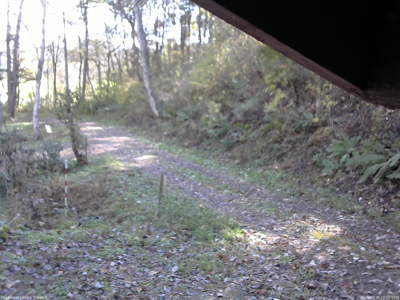 長野県菅平高原 ゆたか山荘 東側(坂下) 2025/10/30 10:15