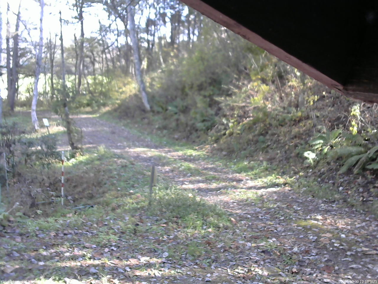長野県菅平高原 ゆたか山荘 東側(坂下) 2025/10/30 12:15