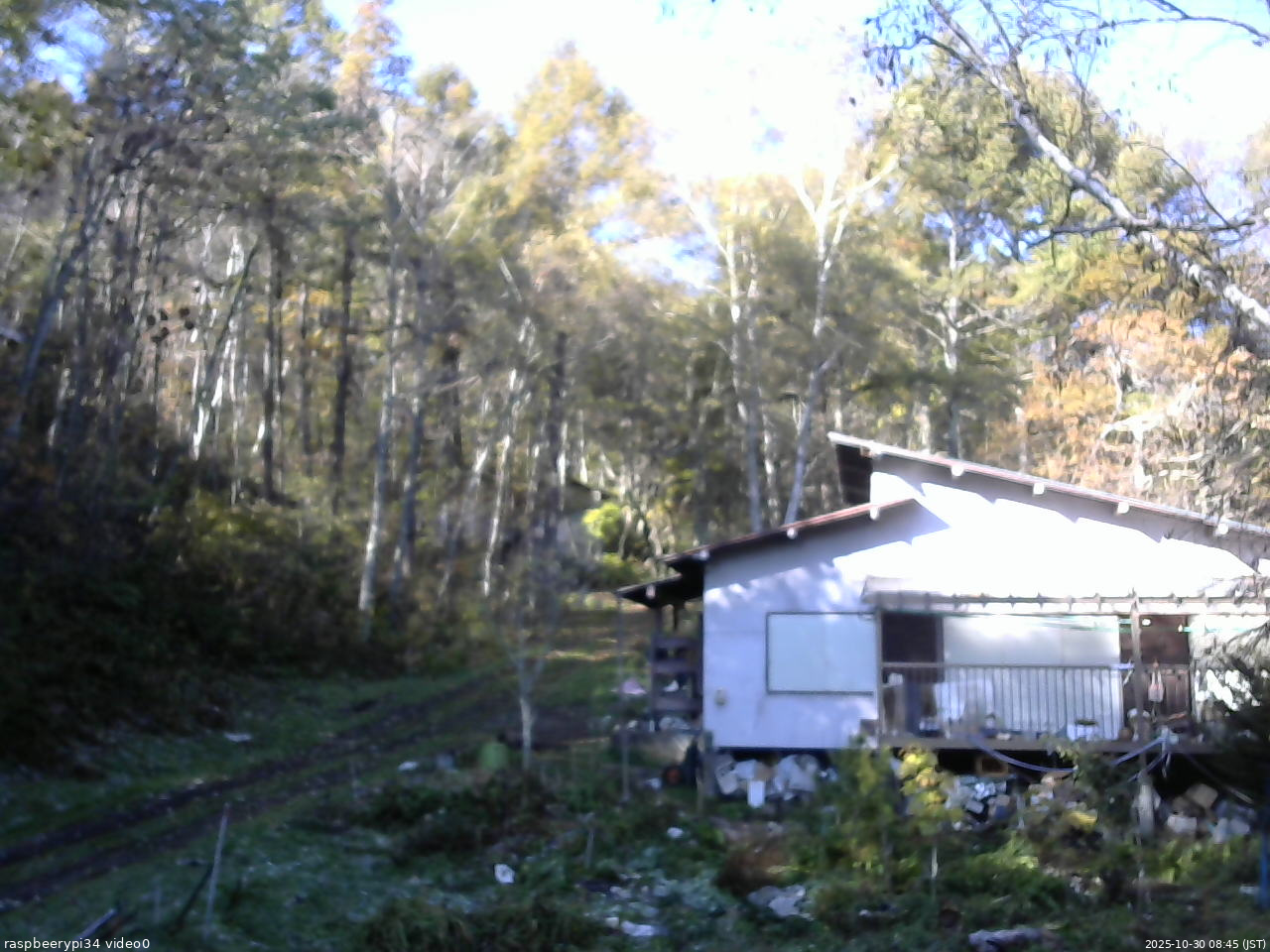 長野県菅平高原 ゆたか山荘 西側(坂上) 2025/10/30 08:45