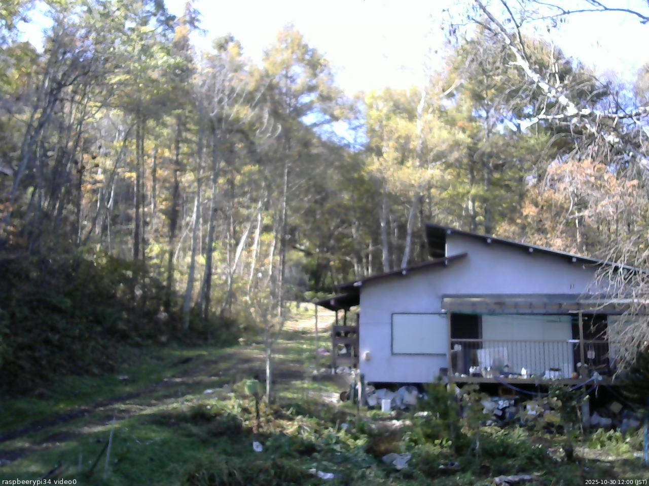 長野県菅平高原 ゆたか山荘 西側(坂上) 2025/10/30 12:00