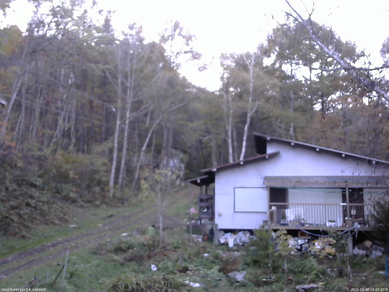 長野県菅平高原 ゆたか山荘 西側(坂上) 2025/10/30 16:00