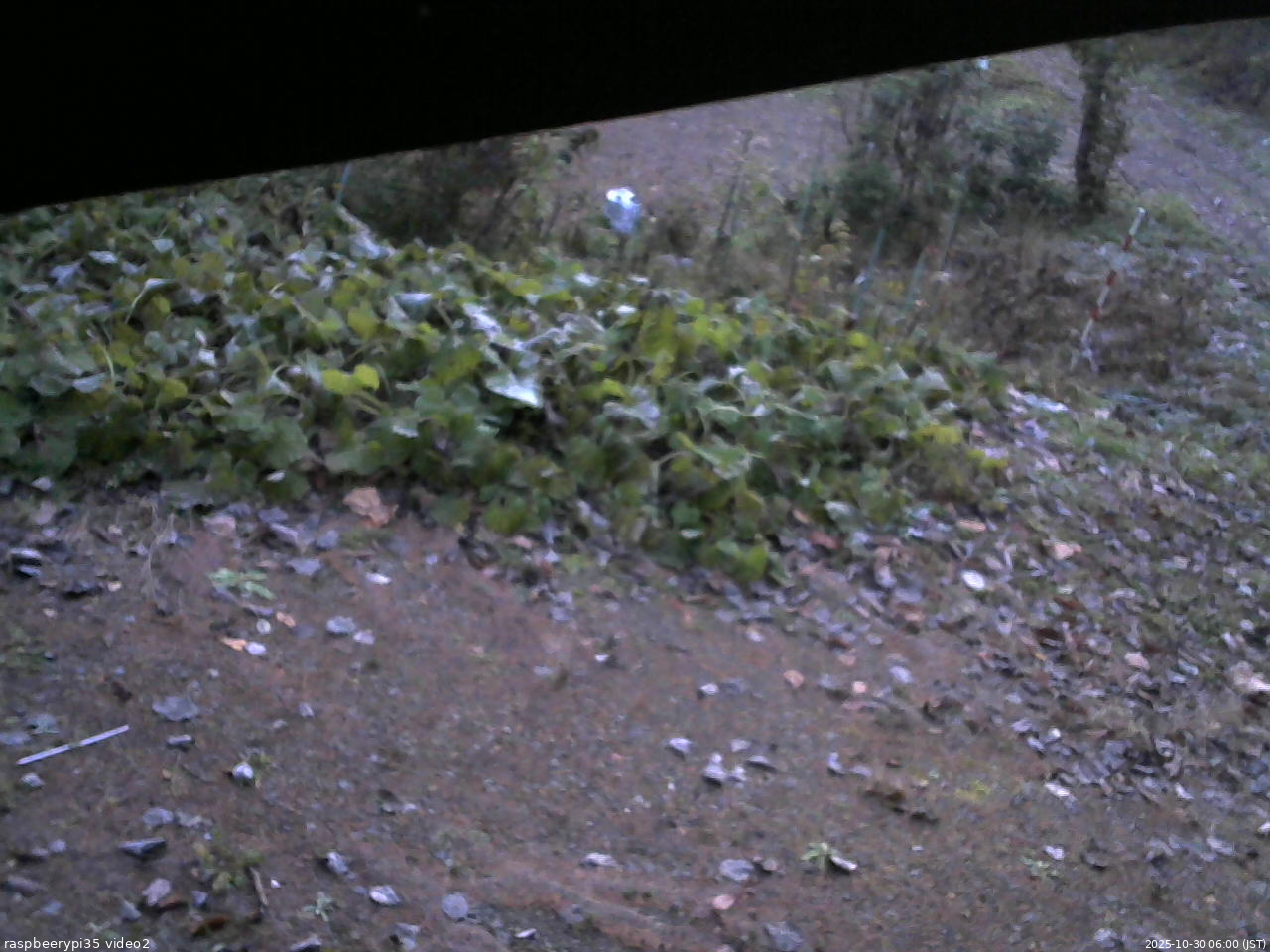 長野県菅平高原 ゆたか山荘 駐車場 2025/10/30 06:00