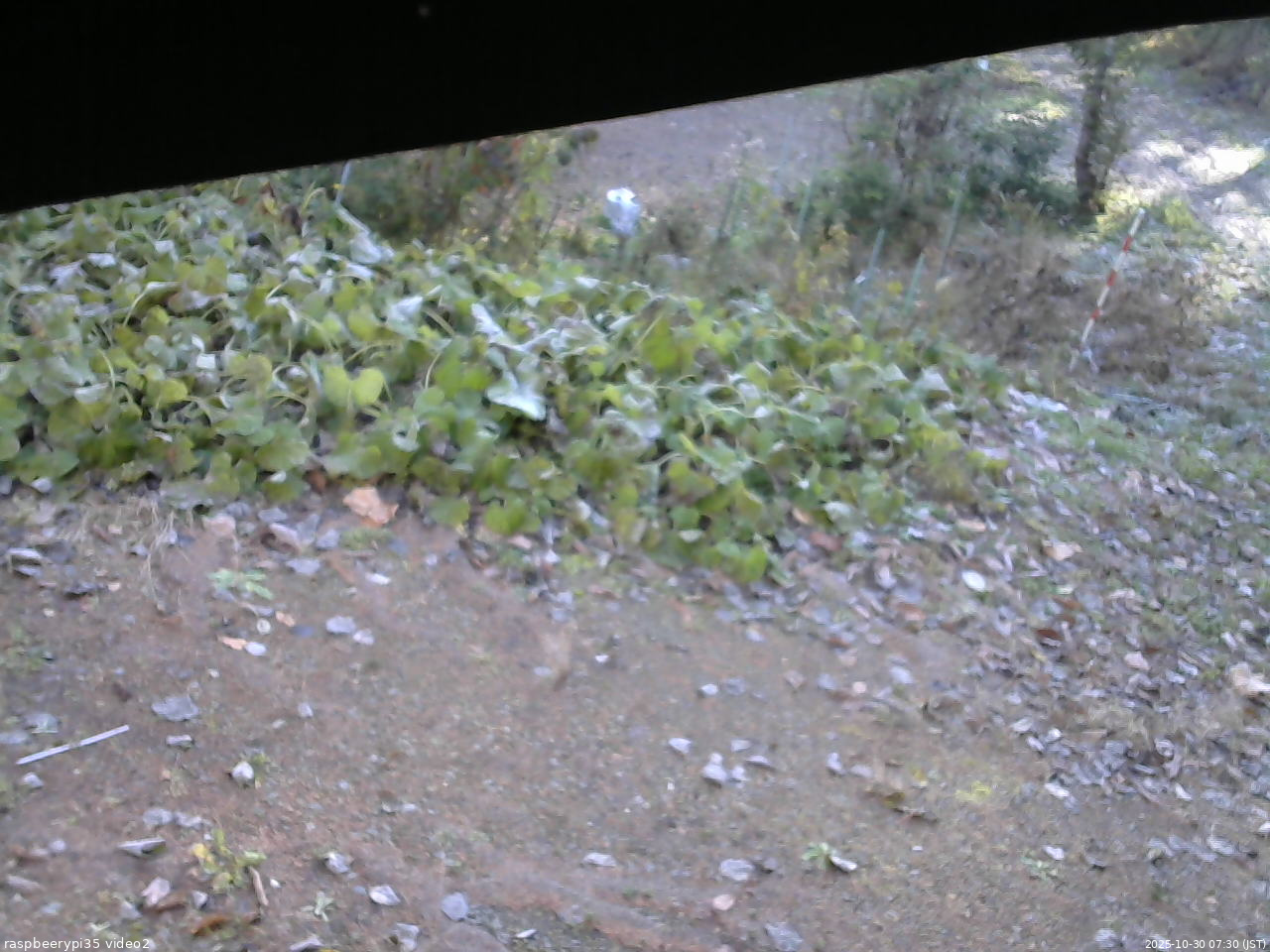 長野県菅平高原 ゆたか山荘 駐車場 2025/10/30 07:30