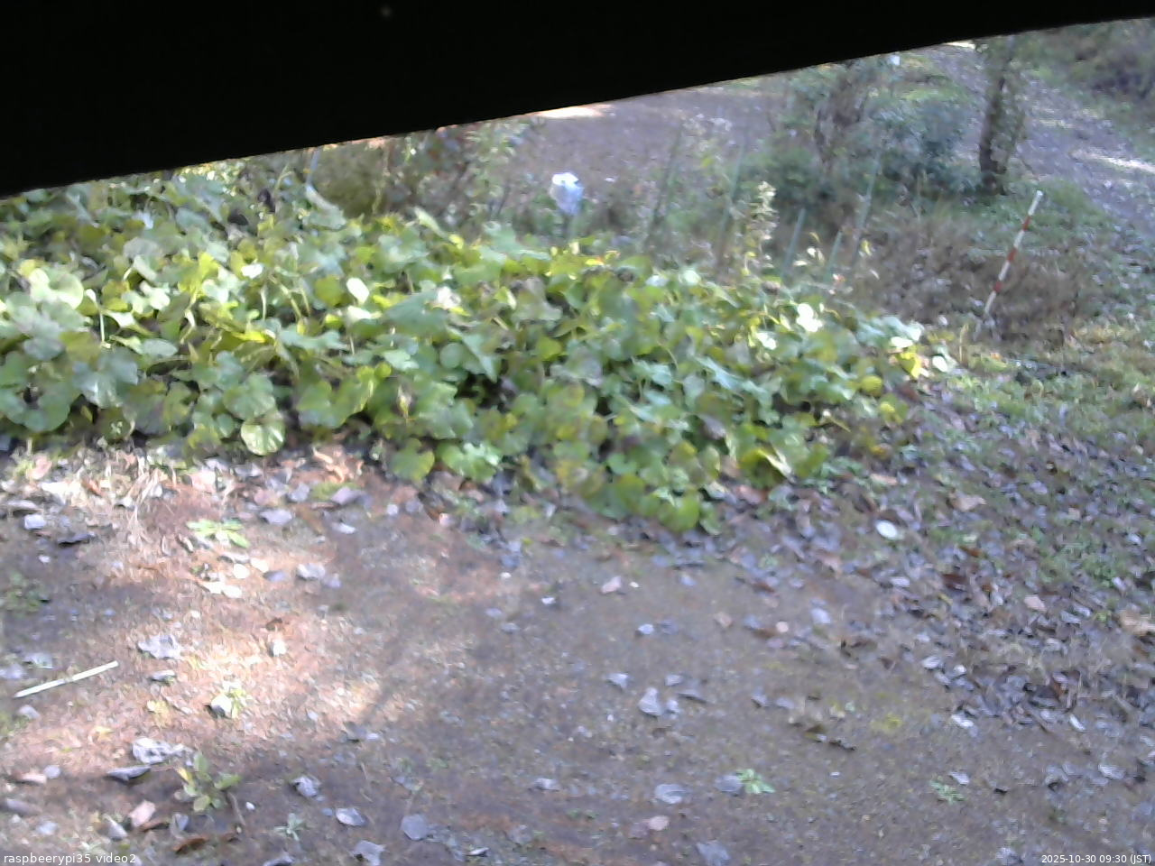 長野県菅平高原 ゆたか山荘 駐車場 2025/10/30 09:30