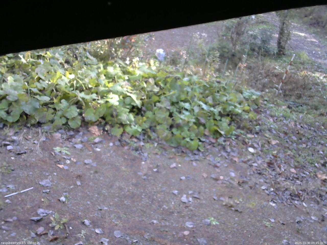 長野県菅平高原 ゆたか山荘 駐車場 2025/10/30 09:45