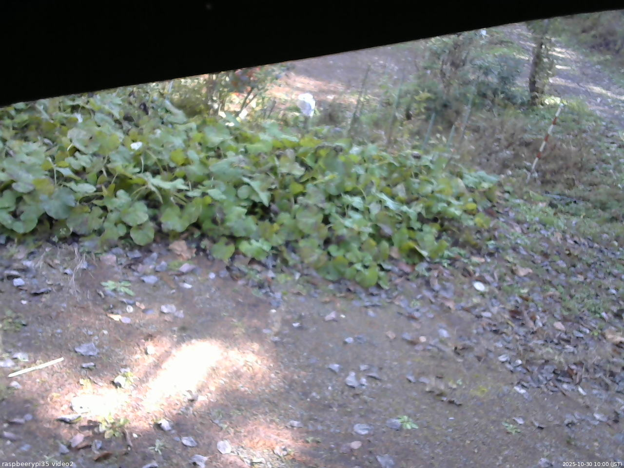 長野県菅平高原 ゆたか山荘 駐車場 2025/10/30 10:00