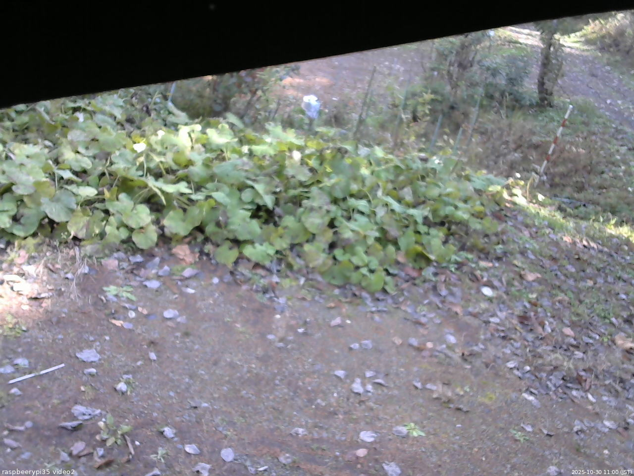 長野県菅平高原 ゆたか山荘 駐車場 2025/10/30 11:00