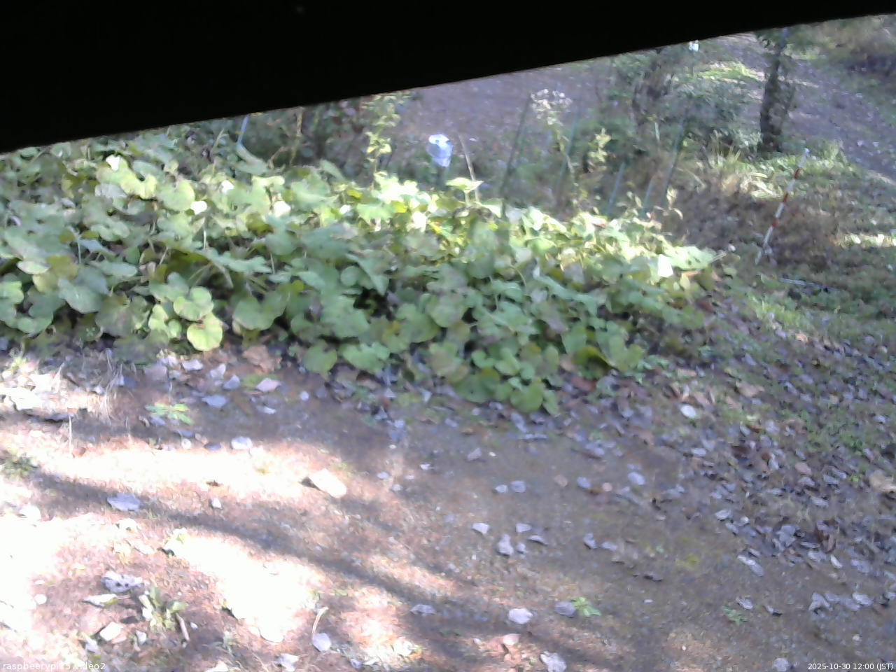 長野県菅平高原 ゆたか山荘 駐車場 2025/10/30 12:00