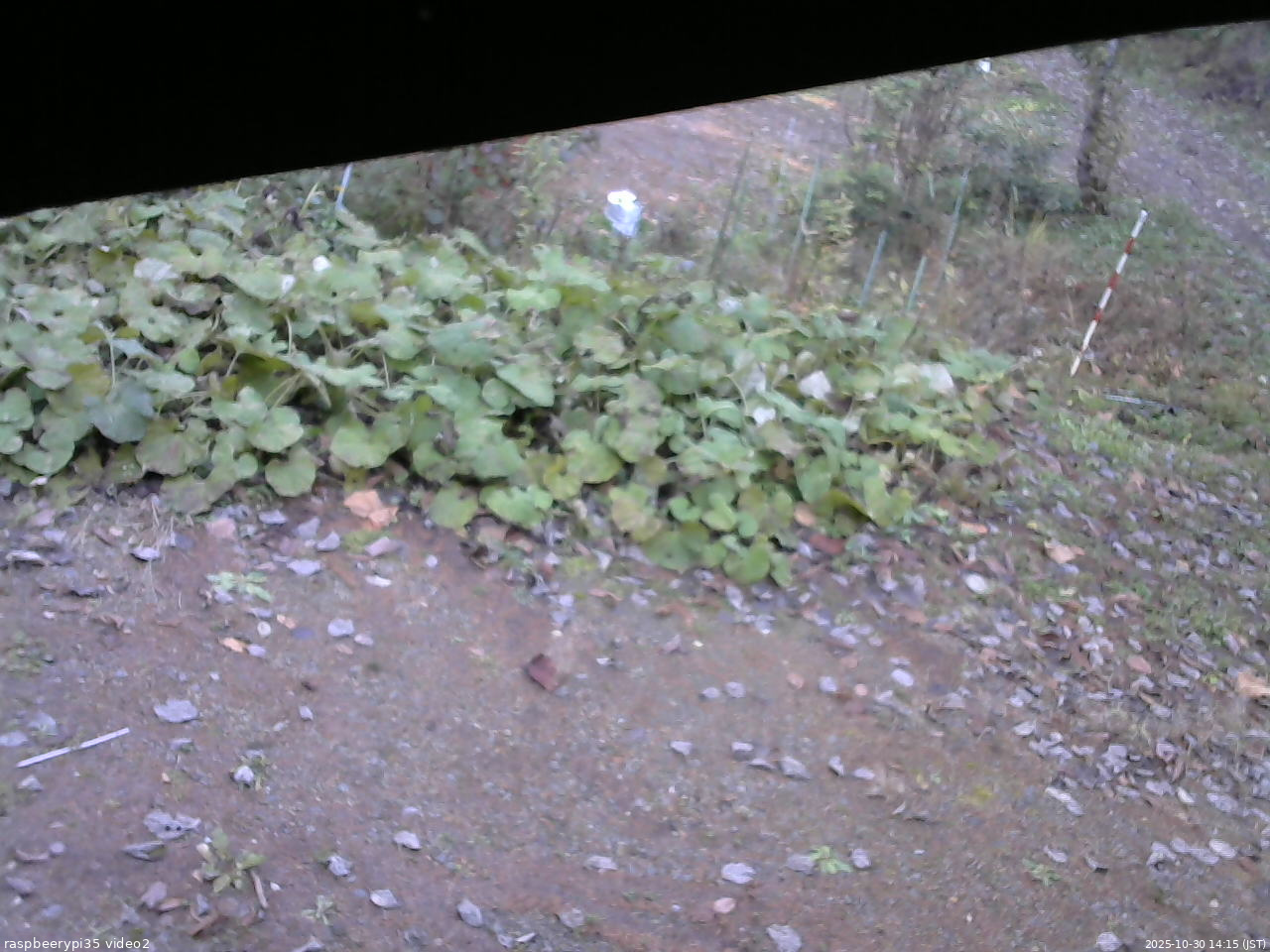 長野県菅平高原 ゆたか山荘 駐車場 2025/10/30 14:15