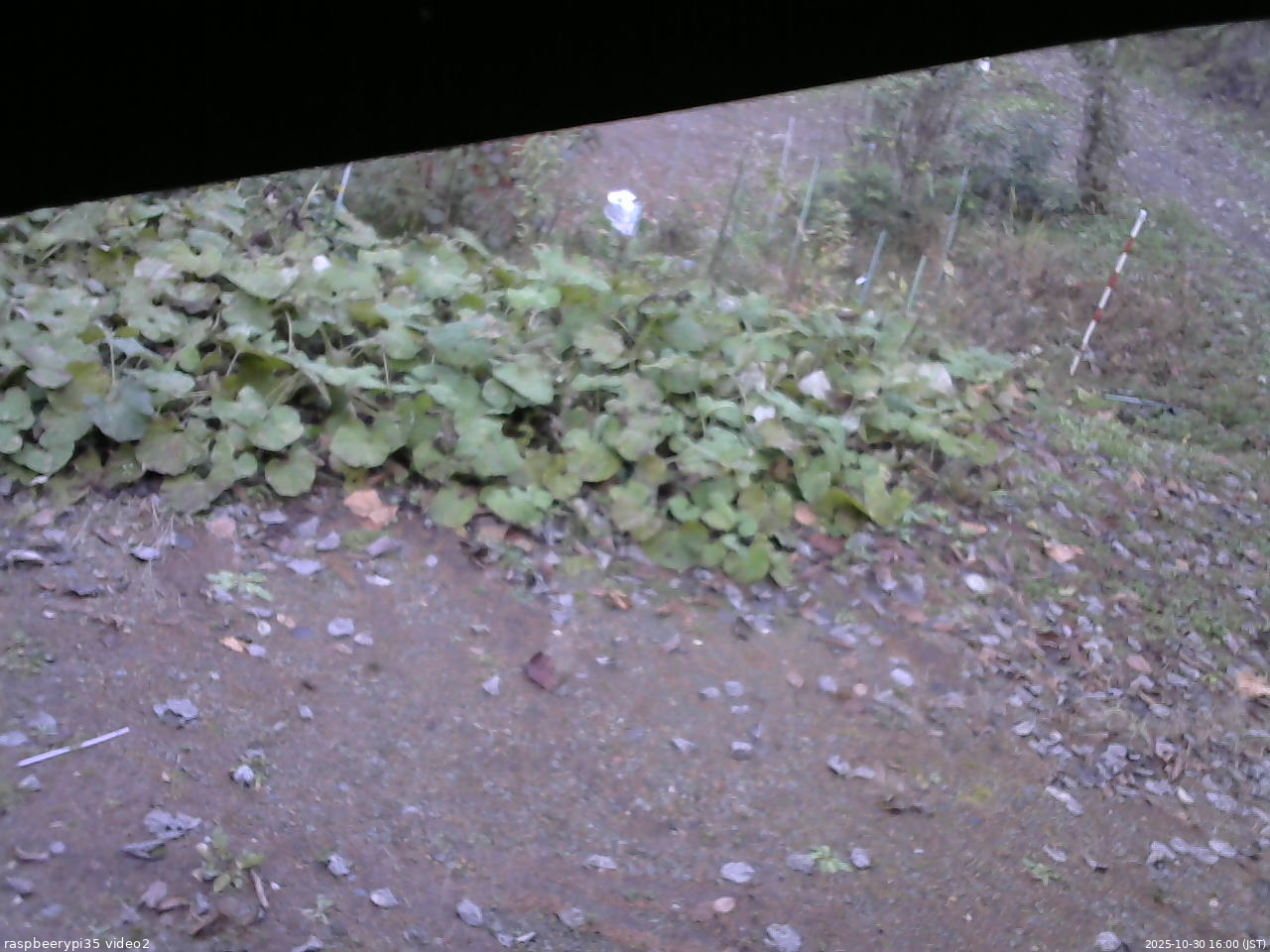 長野県菅平高原 ゆたか山荘 駐車場 2025/10/30 16:00