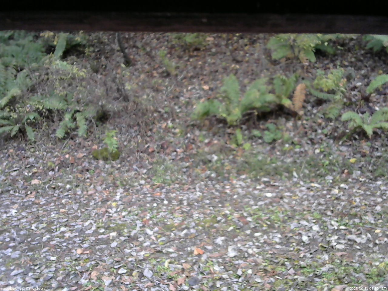 長野県菅平高原 ゆたか山荘 南側 2025/10/31 08:30