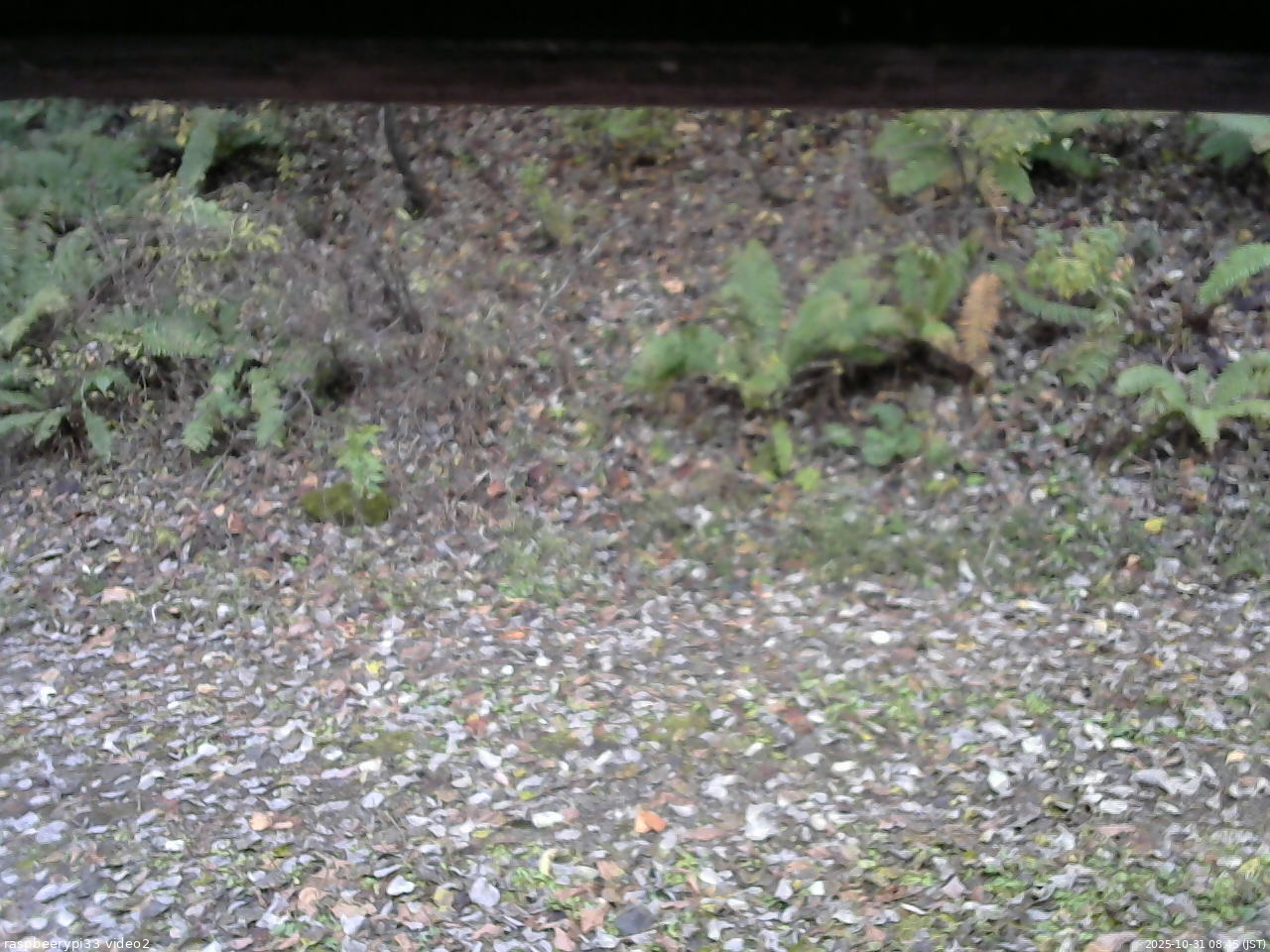 長野県菅平高原 ゆたか山荘 南側 2025/10/31 08:45