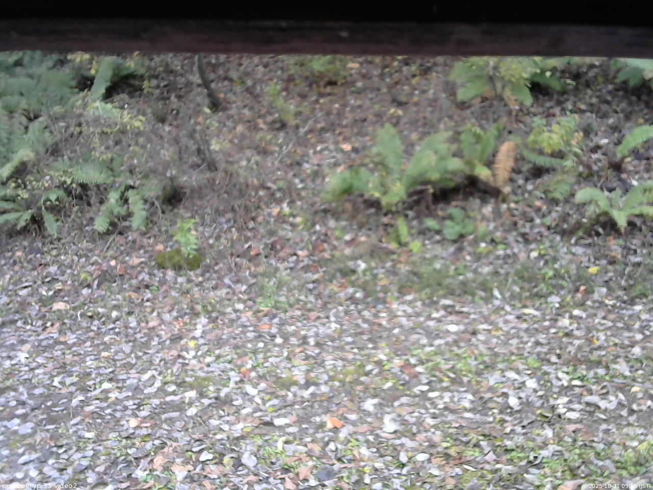 長野県菅平高原 ゆたか山荘 南側 2025/10/31 09:15