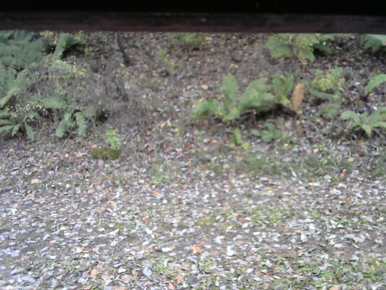 長野県菅平高原 ゆたか山荘 南側 2025/10/31 10:00