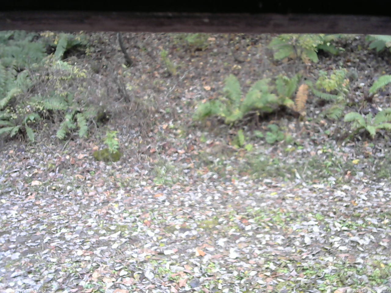 長野県菅平高原 ゆたか山荘 南側 2025/10/31 10:15