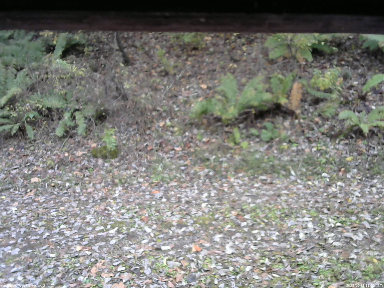 長野県菅平高原 ゆたか山荘 南側 2025/10/31 11:00