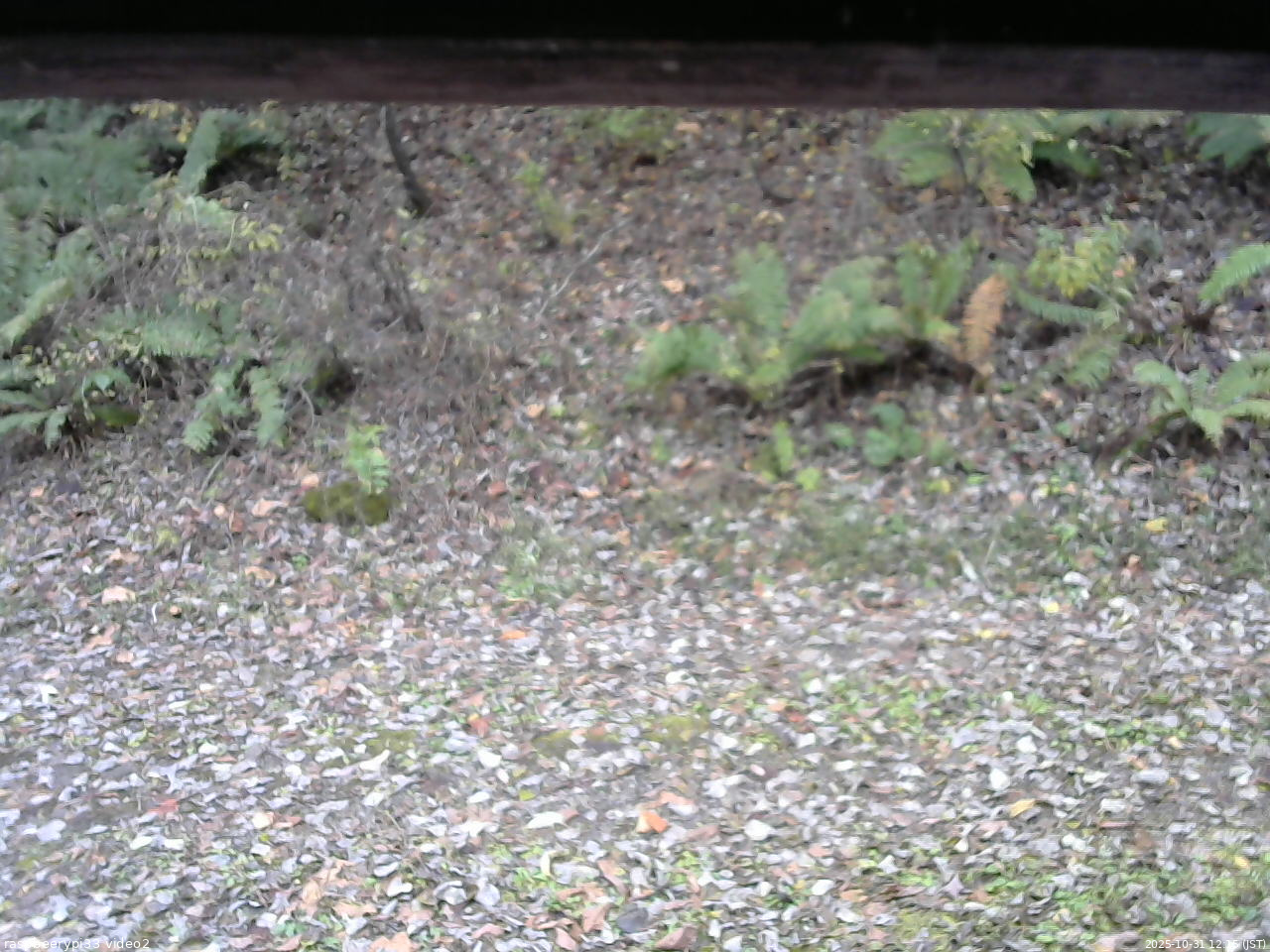 長野県菅平高原 ゆたか山荘 南側 2025/10/31 12:15