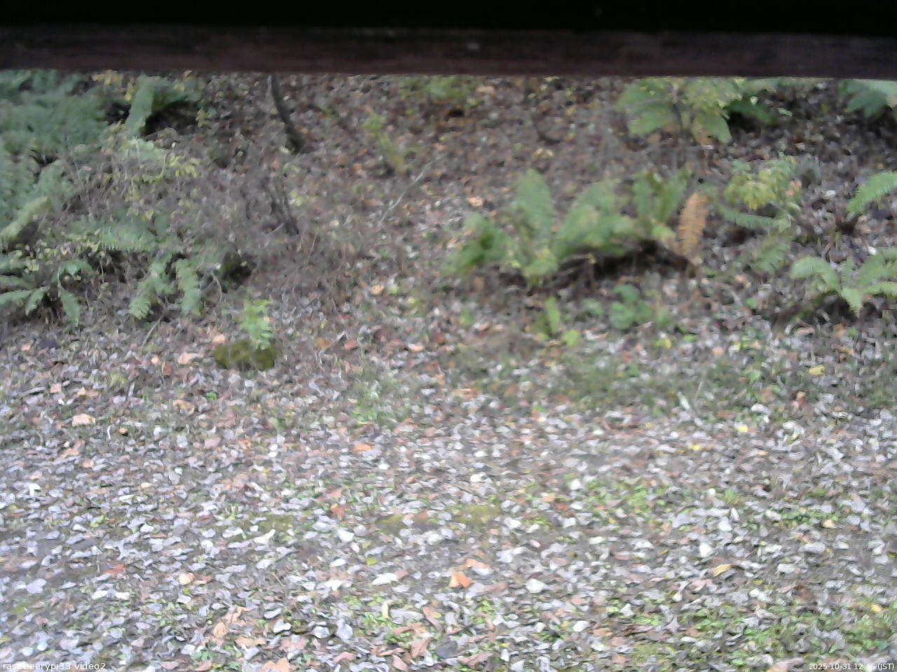 長野県菅平高原 ゆたか山荘 南側 2025/10/31 12:45