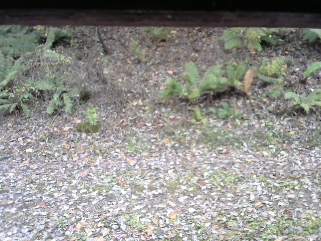 長野県菅平高原 ゆたか山荘 南側 2025/10/31 13:00