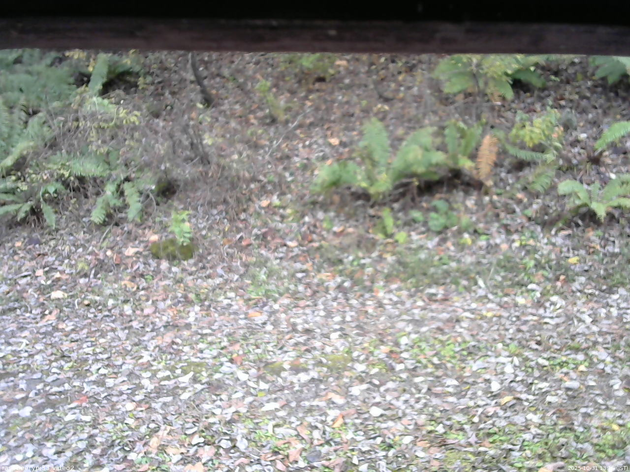 長野県菅平高原 ゆたか山荘 南側 2025/10/31 13:15