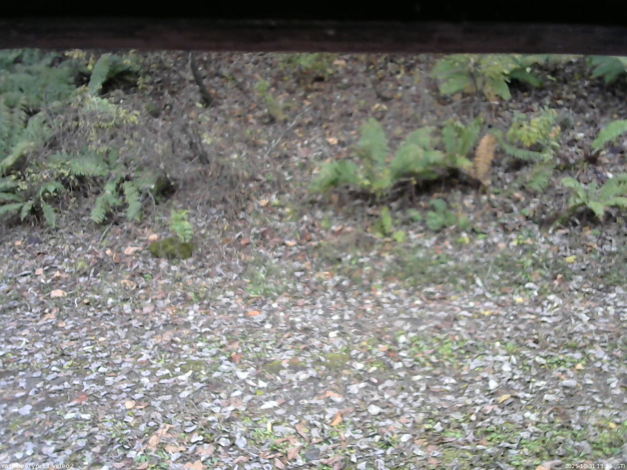 長野県菅平高原 ゆたか山荘 南側 2025/10/31 13:30