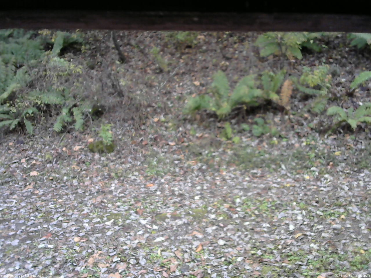 長野県菅平高原 ゆたか山荘 南側 2025/10/31 13:45