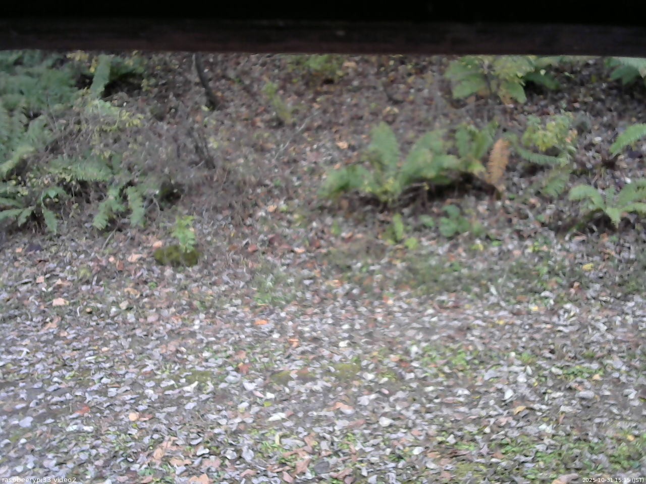 長野県菅平高原 ゆたか山荘 南側 2025/10/31 15:15