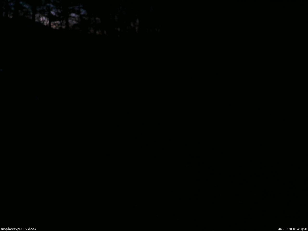 長野県菅平高原 ゆたか山荘 東側(坂下) 2025/10/31 05:45