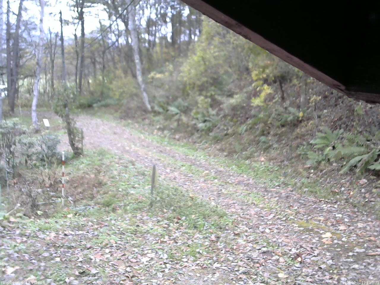 長野県菅平高原 ゆたか山荘 東側(坂下) 2025/10/31 12:15
