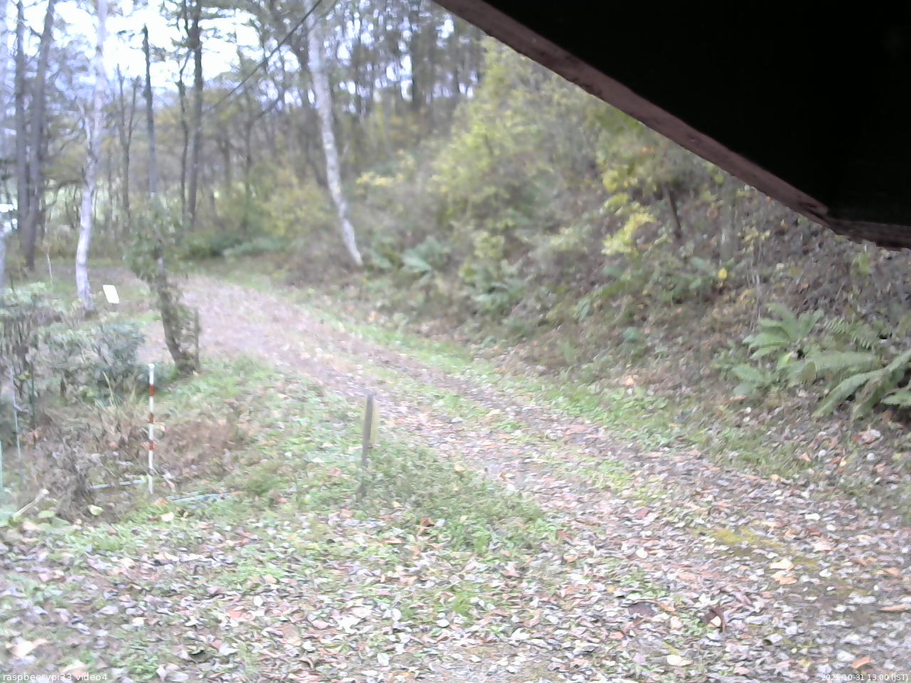 長野県菅平高原 ゆたか山荘 東側(坂下) 2025/10/31 13:00