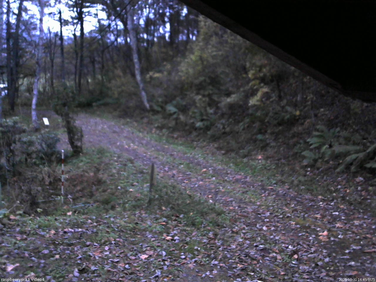 長野県菅平高原 ゆたか山荘 東側(坂下) 2025/10/31 16:45