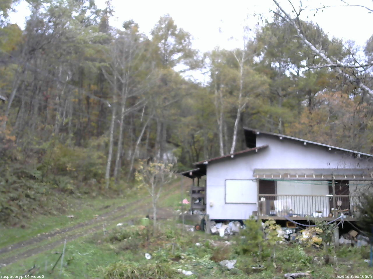 長野県菅平高原 ゆたか山荘 西側(坂上) 2025/10/31 08:15