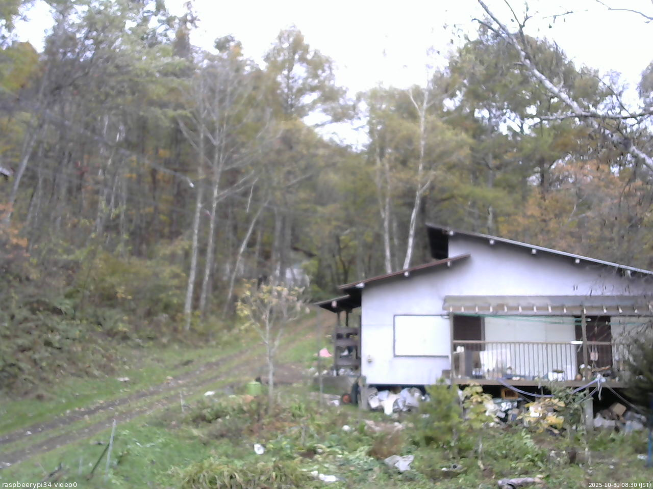 長野県菅平高原 ゆたか山荘 西側(坂上) 2025/10/31 08:30