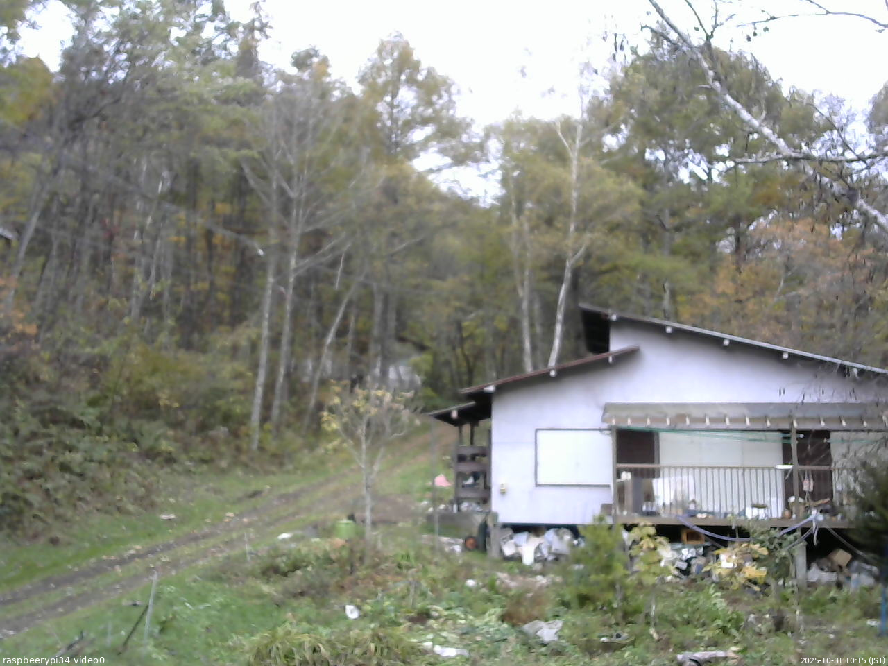長野県菅平高原 ゆたか山荘 西側(坂上) 2025/10/31 10:15